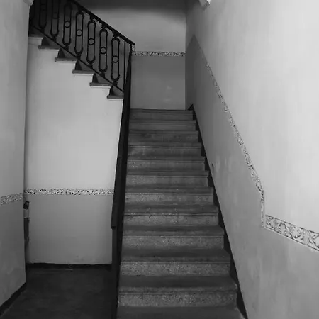 Dorattic *
